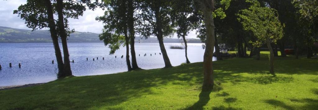 Lakeside Cottage Killaloe Ngoại thất bức ảnh