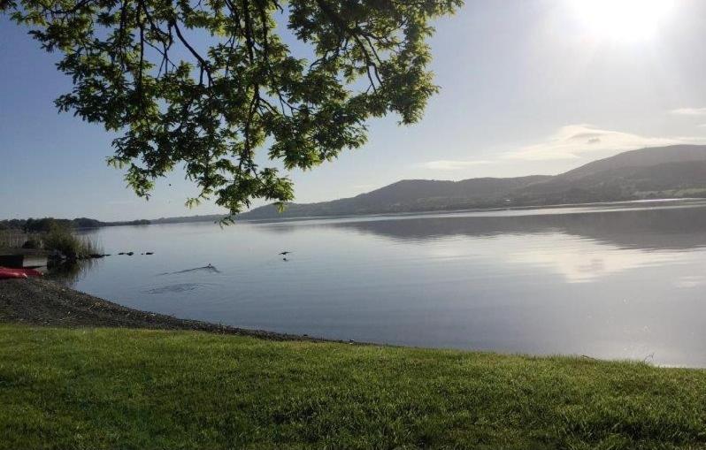 Lakeside Cottage Killaloe Ngoại thất bức ảnh